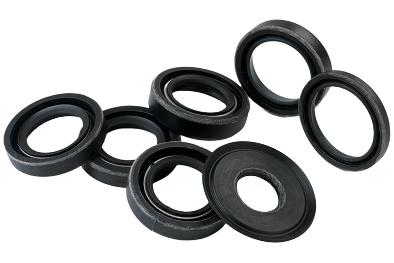 Seals-1